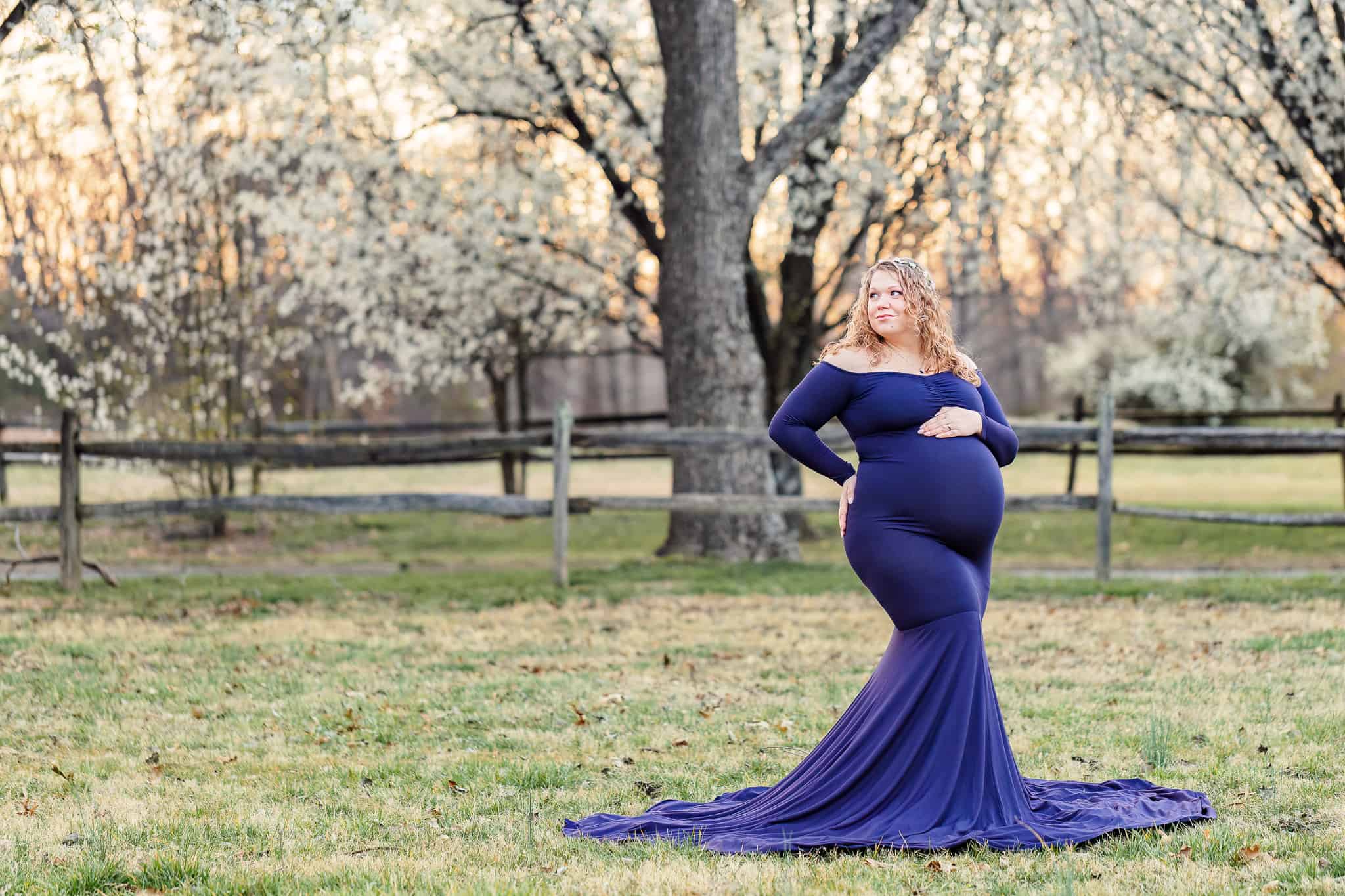 A blog about Premier Birth Center Chantilly featuring a photo of a mom-to-be in a blue gown posing in front of white blossoming trees.
