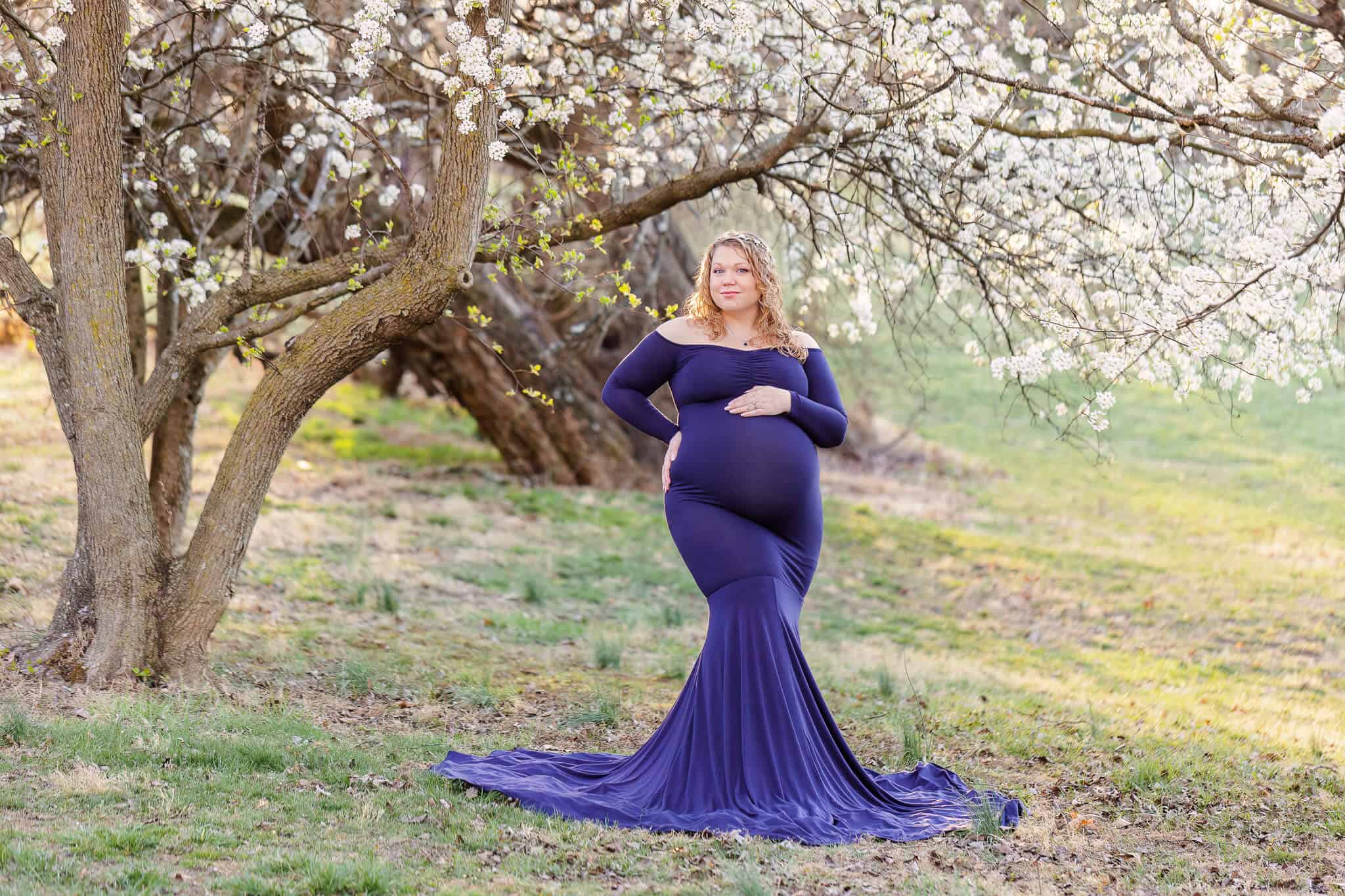 An expecting mom in a blue dress posing under a blossoming tree in Burke, Virginia.